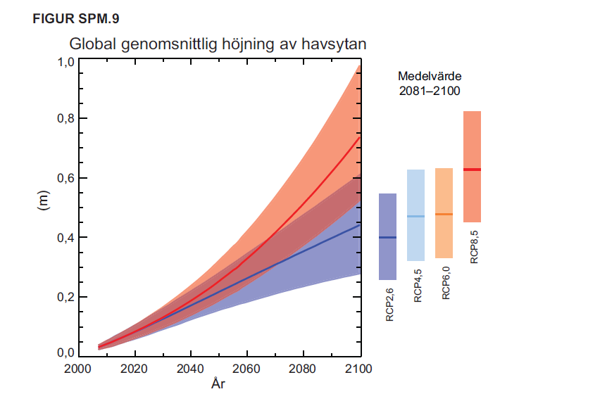 Figur 7-1. Global havshöjning för IPCC AR5 utsläppsscenarier. Det högsta, RCP8.5 leder till en höjning av havsytan på mellan 52 och 98 cm för 2100.