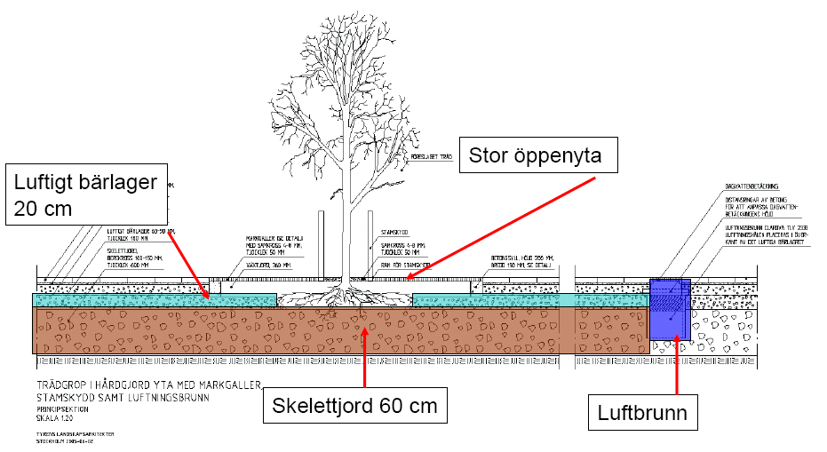 Dagens lösningar för bra etableringsmiljö