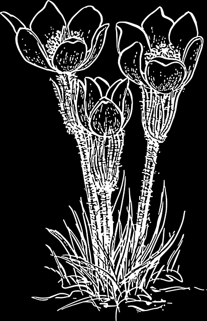 14 okt Onsdag Försäljning av lökar utan för kulturhuset kl 18:30 Elises Blomsterlökar kommer och erbjuder oss att köpa hennes fina blomsterlökar. Bra priser och fin kvalité utlovas i vanlig ordning.