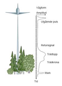 Lagring Analys