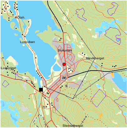 Badsjön, mitt i Storuman, Koordinater X: 7222712, Y: 1561552 Namn på Svalan: Badsjön, Storuman Bästa tiden: Vår och försommar Vad kan man se: Vadare,