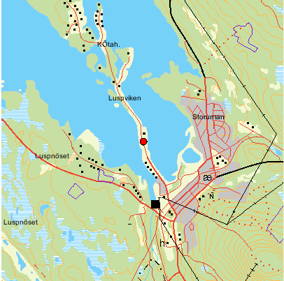 Luspholmsbron Koordinater : X: 7222848, Y: 1560752 Namn på Svalan: Luspholmsbron, fiskodlingen Bästa tiden: Vår försommar och höst Vad kan man se: Änder, flyttande