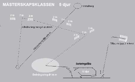 Mästerskapsklassen får, Kval Regler för WK mästerskapet får kval.