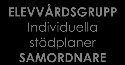 STÖD FÖR STUDIER Specialundervisning, samarbete mellan grundläggande- och yrkesutbildning Kartläggning av läs- och skrivfärdigheter Individuella studieplaner Frånvarouppföljning STÖD I RELATION TILL