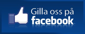 AKTUELLT I GETA KOMMUN Åsub har släppt stora befolkningsrapporten för år 2011. Getas befolkning uppgick vid årets slut till 492 personer (idag 494).