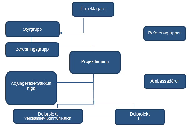 Projektorganisation