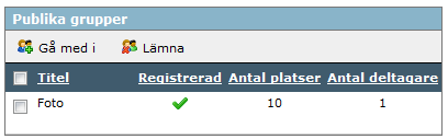 Se avsnitt 5.3.6.6 för mer information om fliken Egenskaper. När kursdeltagaren klicka på Slutför publiceras dokumentet i trädet. 5.3.6.5. Chatt Vill kursdeltagren publicera en chatt behöver han/hon endast ange Titel.