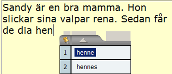 Nyckelordsrummet 13 Även om nyckelorden ligger till grund för den skriftliga framställningen, kan det finnas ord som man gärna vill ha hjälp med.