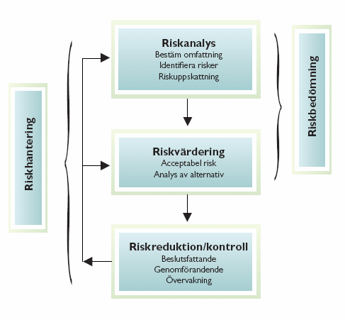 3 Omfattning av riskhantering Detta kapitel innehåller en beskrivning av begrepp och definitioner, arbetsgång och omfattning av riskhantering i denna riskbedömning samt de metoder som används. 3.