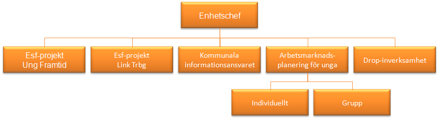 För närvarande driver Navigatorcentrum två projekt som delfinansieras av Europeiska Socialfonden (ESF).