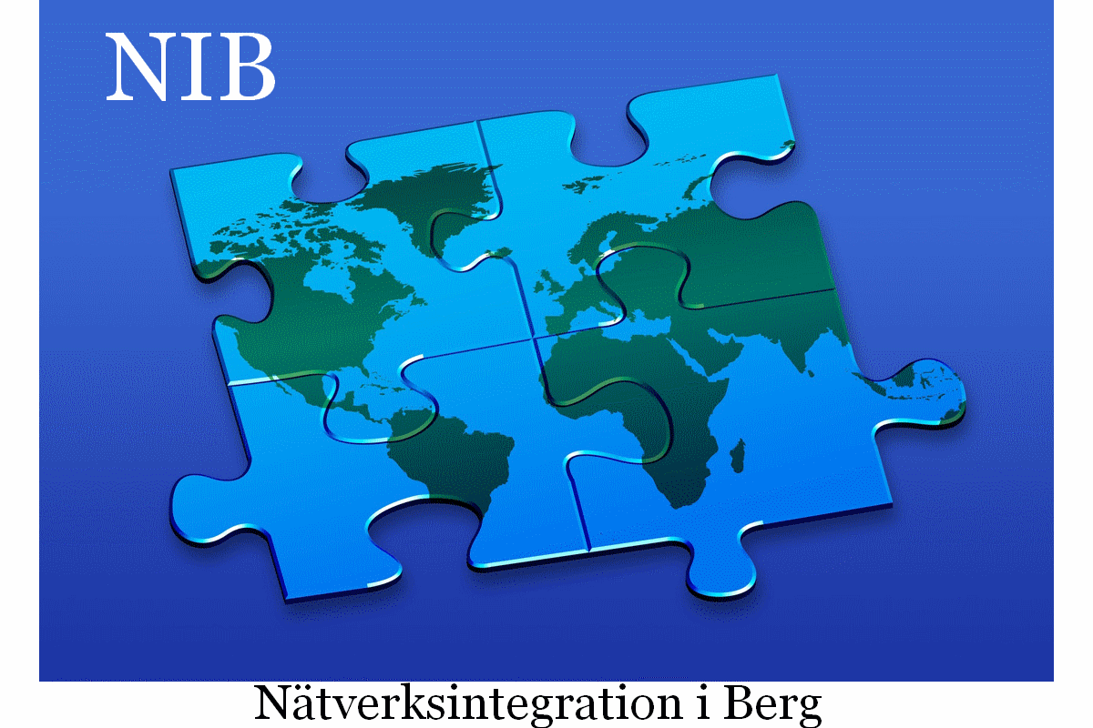 Delrapport NIB- Nätverkande integration