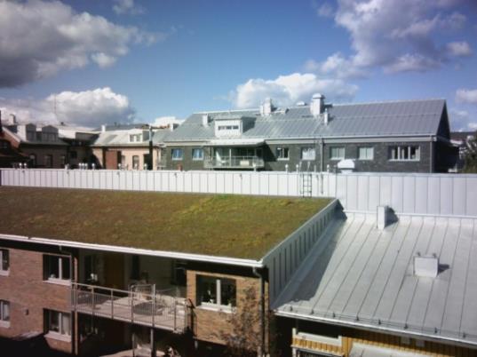 Exempel: Gröna tak i Luleå Högre Cu och N koncentrationer i