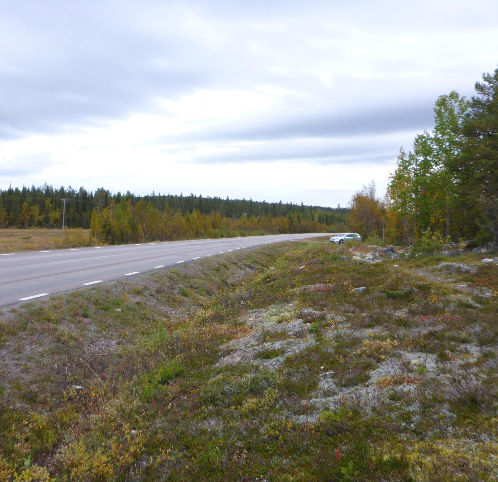 kommun, Norrbottens län