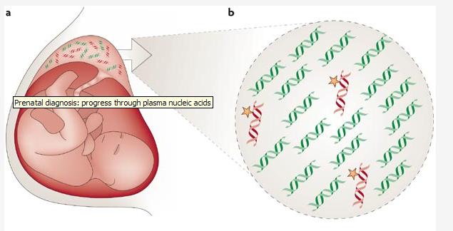 Cell fritt fetalt DNA (cffdna) i maternell plasma möjliggör non-invasiv