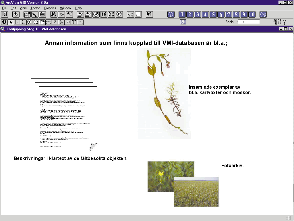 Figur 28. Klartextbeskrivningar, fotoarkiv och insamlade växter är exempel på övrigt material kopplat till VMI-databasen. FÖRDJUPNING STEG 10.