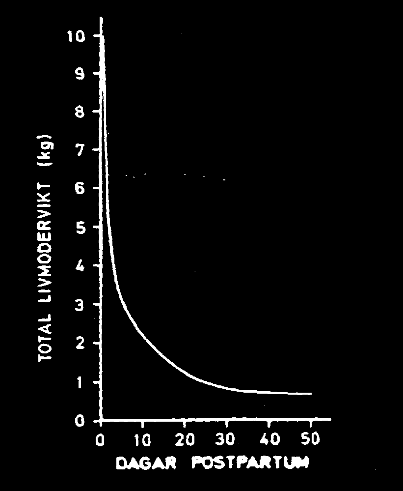 Involution av uterus Under post partum perioden ska livmodern rena sig och minska i vikt