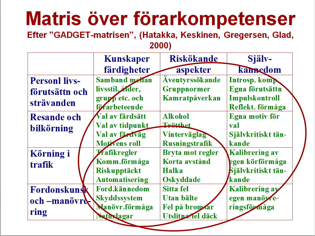 Sveriges Trafikskolors