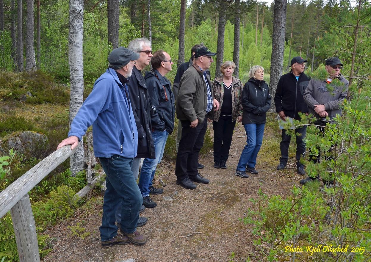 Under år 2000 blev Nakkanittidammen föremål för ett projektarbete att skapa ett omlöp.