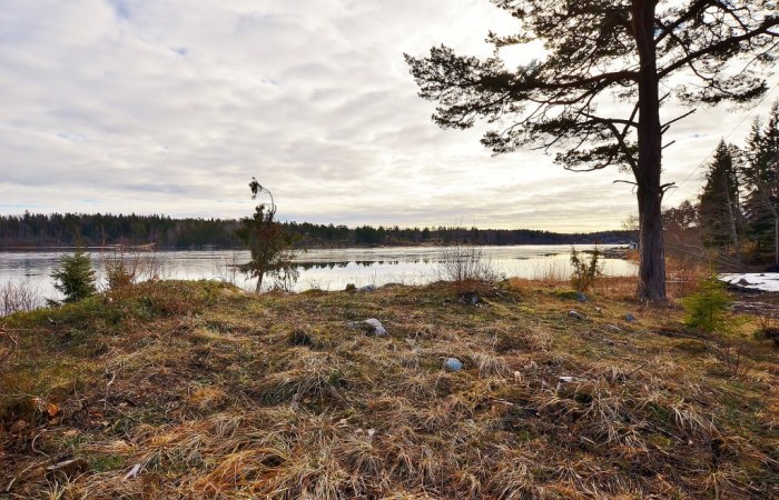 Län Stockholm Gatuadress Kommun