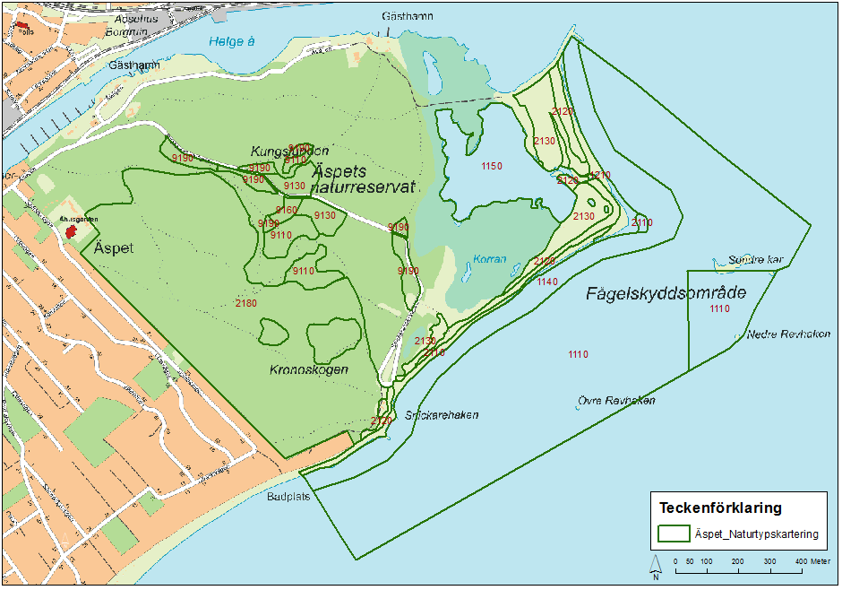 I basinventeringen av Natura 2000-området Äspet har identifierats nio terrestra naturtyper (Figur 2-4).