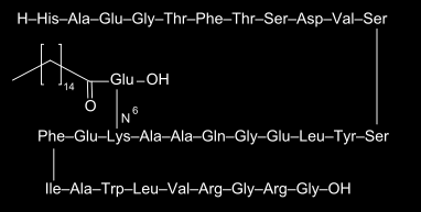 Figur 1. Strukturen av liraglutid (Wikipedia; public domain) Verkningsmekansim GLP-1-analog Liraglutid är en acylerad GLP-1- analog (14). Sekvenshomologin är 97 % (12).