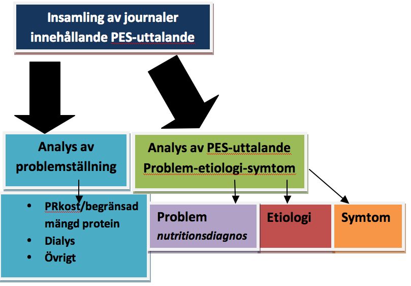 Problemställningarna, det vill säga det medicinska problemet som fört patienten till en dietist, analyserades genom en kvantitativ innehållsanalys.