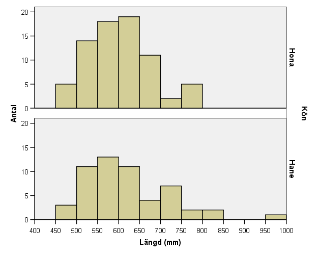 Figur 8. Storlek på lekande havsöring i Galasjöån och Utterån, Moälvens vattensystem 1998, 2000 och 2003 (n=128). Data Bo Öhman.