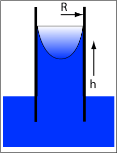 Kapillärkraft Gaser Gas Vätska Solid Attraktion mellan vattenmolekyler och rörväggen Molekylerna rör sig fritt och saknar bindande