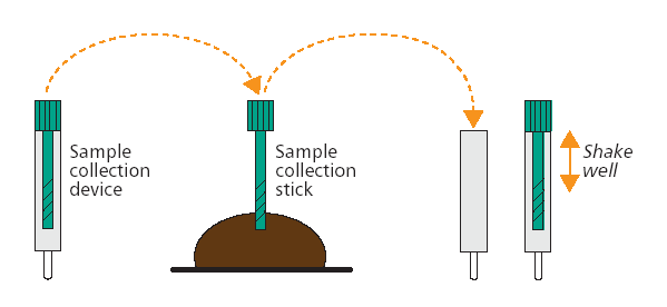 Semi-quantitative immunochromatographic