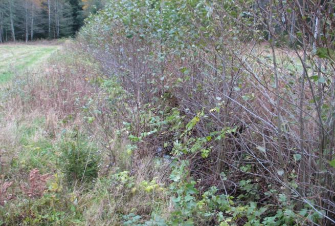 konventionell självfallsspridning sker. Nivån på spridarrören läggs 900mm över högsta grundvatten yta. Infiltrationen återfylls med fyllnadsmassor för köldisolering.