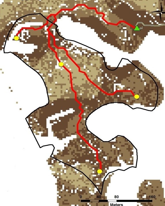 Planeringsstöd - minskade körskador Digital