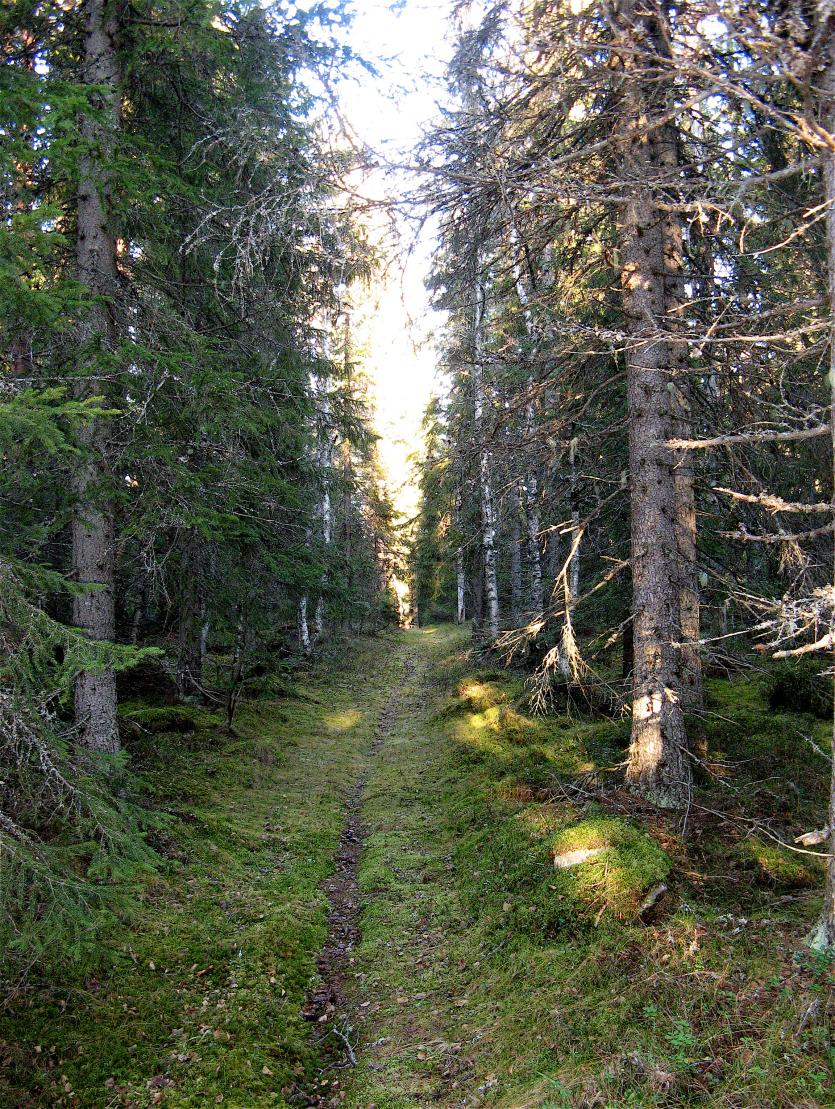 och Medelpad Kommun: Härnösand och Timrå Län: Västernorrland