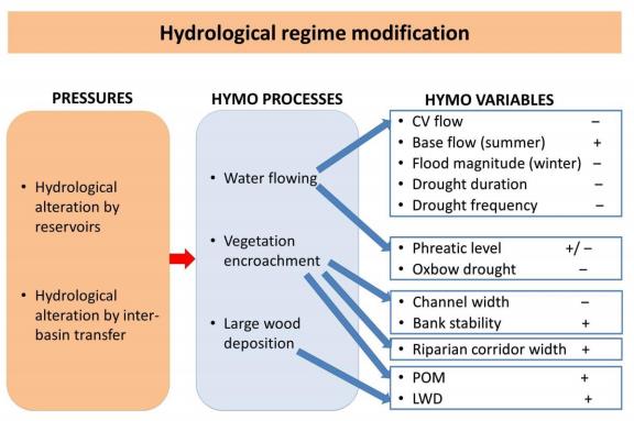 Sammanställningar av miljöövervakningsdata och dess samband med hydromorfologisk status Sammanställning av