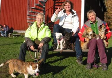 Hunden i Söderköping Hundföretagare i samarbete Det mesta för din hunds bästa AlphaOhm Fysioterapi Carinas Hundvård Catharinas Agilitycenter Hundforum Hund & Katt shopen Pensionat Tass & Hov