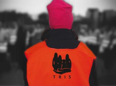 TRIS- tjejers rätt i samhället: Bildades 2002 i Uppsala Ideell organisation Partipolitiskt och religiöst