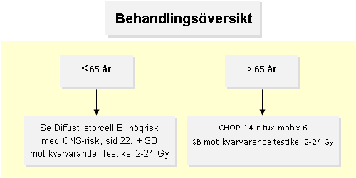 23.2 Testislymfom 23.2.1 Introduktion Stadium I Oftast äldre patienter. Trots stadium I är det få som blir botade med enbart lokal behandling. Risk för recidiv i CNS och kontralaterala testikeln. 23.3 Kutana lymfom Skiljer sig kliniskt i hög grad från motsvarande WHO-entiteter utanför huden.