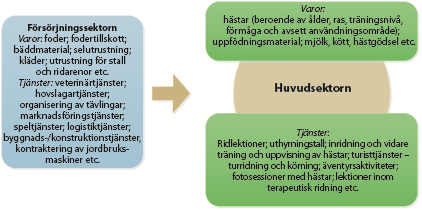 HÄSTSEKTORNS DIVERSIFIERADE TJÄNSTEUTBUD Det finns ett brett utbud av aktiviteter (både i och utanför tävlingar) med hästar.