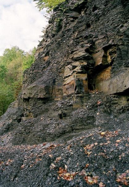 Andrarums alunskifferbrott och alunbruk I stenbrottet vid Andrarum bröts alunskiffer under framför allt 1700- och 1800- talen.