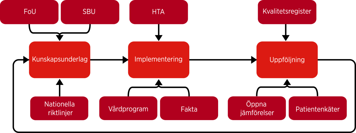 Idé om accelererandet Partnerskap med patient och närstående i utvecklingsarbete Processorienterat arbetssätt kartläggning