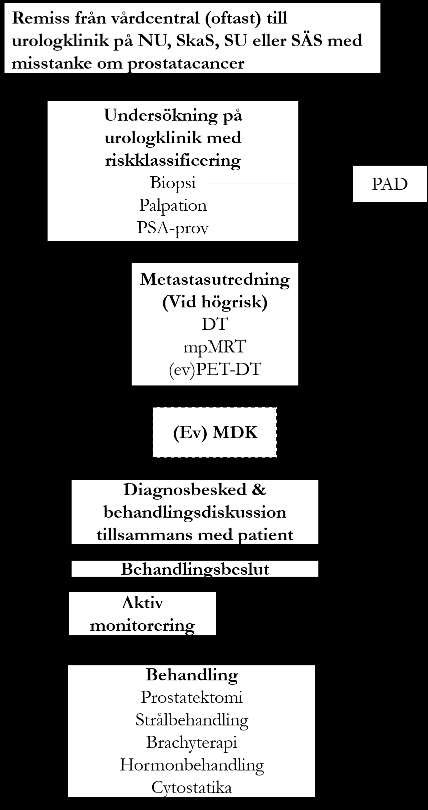 3. PATIENTENS VÄG GENOM VÅRDEN Patientprocessen startar ofta efter att ett PSA-test visar ett förhöjt värde.