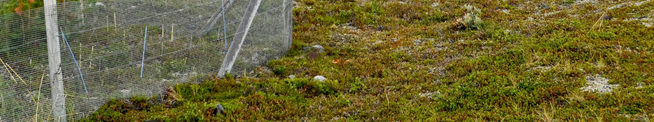 typ av renskötsel, provtagningsmetodik. Begränsat underlag för rekommendationer.