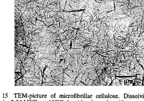 Tidiga arbeten om kompositer av cellulosa och C Klason, J Kubát and H-E Strömvall. The efficiency of cellulosic fillers in common thermoplastics. Part I.