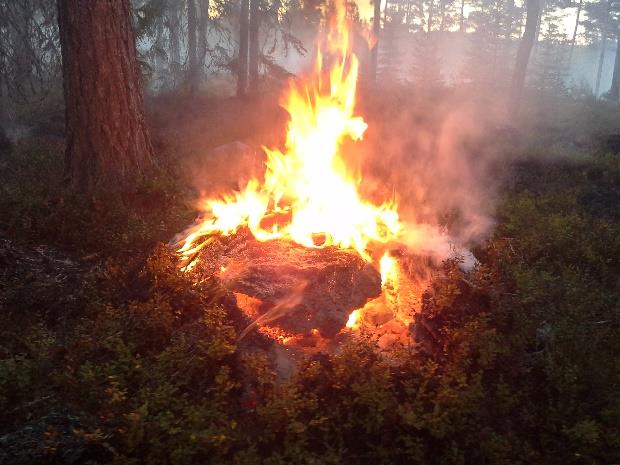 Jordspett Jordspett används för att släcka bränder på djupet under marken, i myrstackar, i ihåliga träd mm.