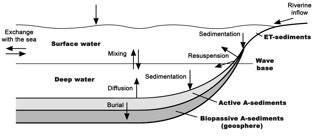 erosions- och transportbottnar betydligt lägre än på ackumulationsbottnar eftersom sedimentlagren är tunnare och till större del består av grövre material med sämre förmåga att binda fosfor.