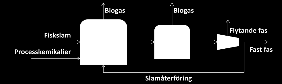1 INTRODUKTION Västervik Biogas AB kontaktade Tema Vatten vid Linköpings Universitet för utvärdering av fiskslam som substrat för biogasproduktion.
