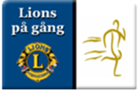 LIONS CLUB I HÄÄR ANTECKNINGAR från StyrelsemÇtet den 8 november 2012 hemma hos Eddie Blom. Kl 18.30-21.