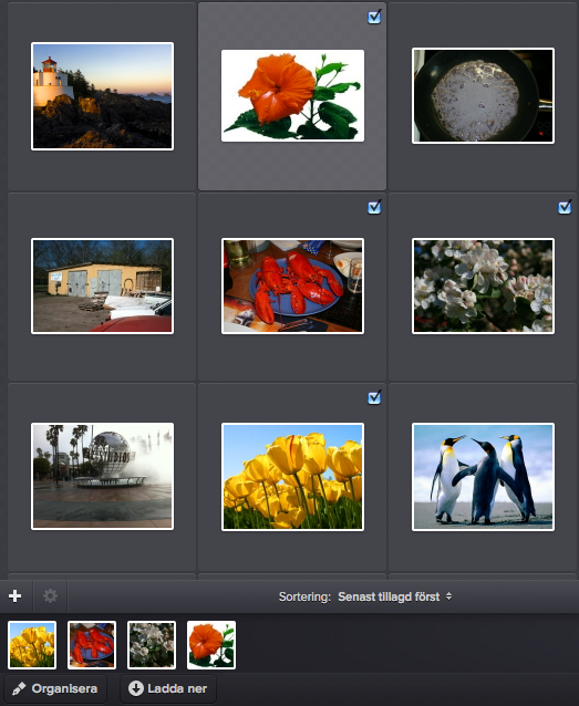 8. Batchkörning ImageVault Användarmanual För att förenkla uppgiften att lägga till egenskaper eller ladda ner stora mängder filer är det möjligt att