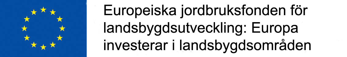 NYHETSBREV FEBRUARI 2012 AKTION Österbotten Vårvintern är redovisningens tid, detta gäller även för Aktion Österbotten!