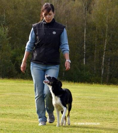 Anna E Holm Fårhagens Mil - "Mill" Tävlar för klubb: Värnamo BK Tävlar i klass: Elit Favoritmoment: Alla moment som har med apportering att göra! Nej, det är första gången.