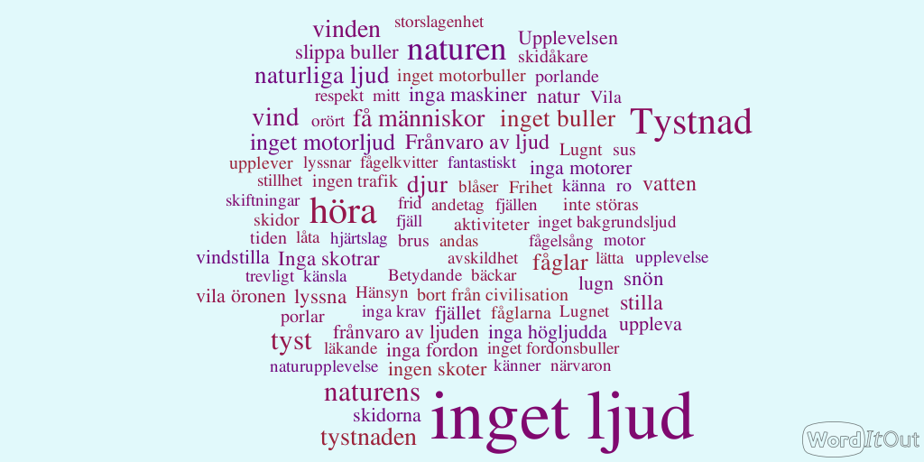 Buller och tystnad i Jämtlandsfjällen Upplevelser av intressemotsättningar bland turskidåkare och skoteråkare Figur 25.